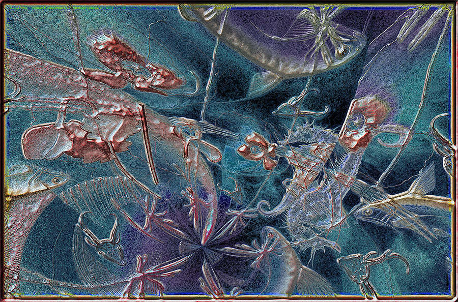 Naturesk-72-.jpg : As Recent As... : American artist digital invention archival artifact color print image emerging capture creative convergent transparency universe dream history painter Hybrid exhibition
