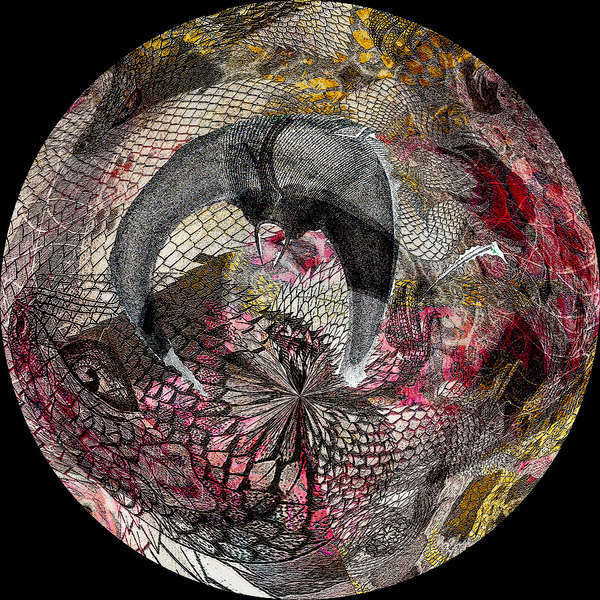 lizra-detailONEsphere.jpg : As Recent As... : American artist digital invention archival artifact color print image emerging capture creative convergent transparency universe dream history painter Hybrid exhibition