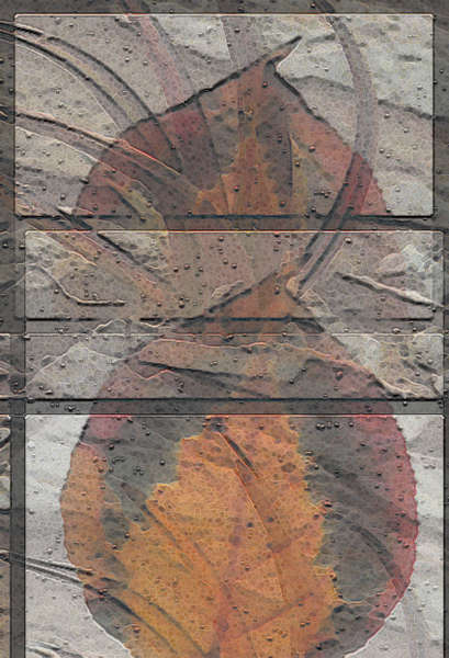 Bradford_Pear_-_Lechigilla.jpg : As Recent As... : American artist digital invention archival artifact color print image emerging capture creative convergent transparency universe dream history painter Hybrid exhibition