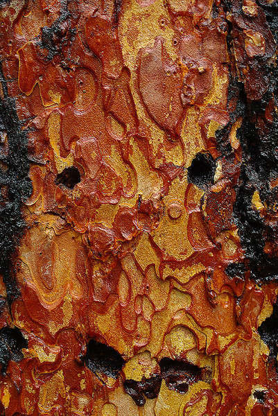 SantaFe080808-244.jpg : As Recent As... : American artist digital invention archival artifact color print image emerging capture creative convergent transparency universe dream history painter Hybrid exhibition