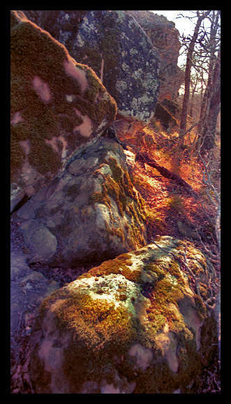 Moss_Rock_opting.jpg : Nature Stuff : American artist digital invention archival artifact color print image emerging capture creative convergent transparency universe dream history painter Hybrid exhibition