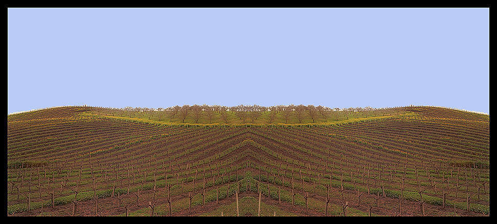 vinyardandorchard1x2b.jpg : Nature Stuff : American artist digital invention archival artifact color print image emerging capture creative convergent transparency universe dream history painter Hybrid exhibition