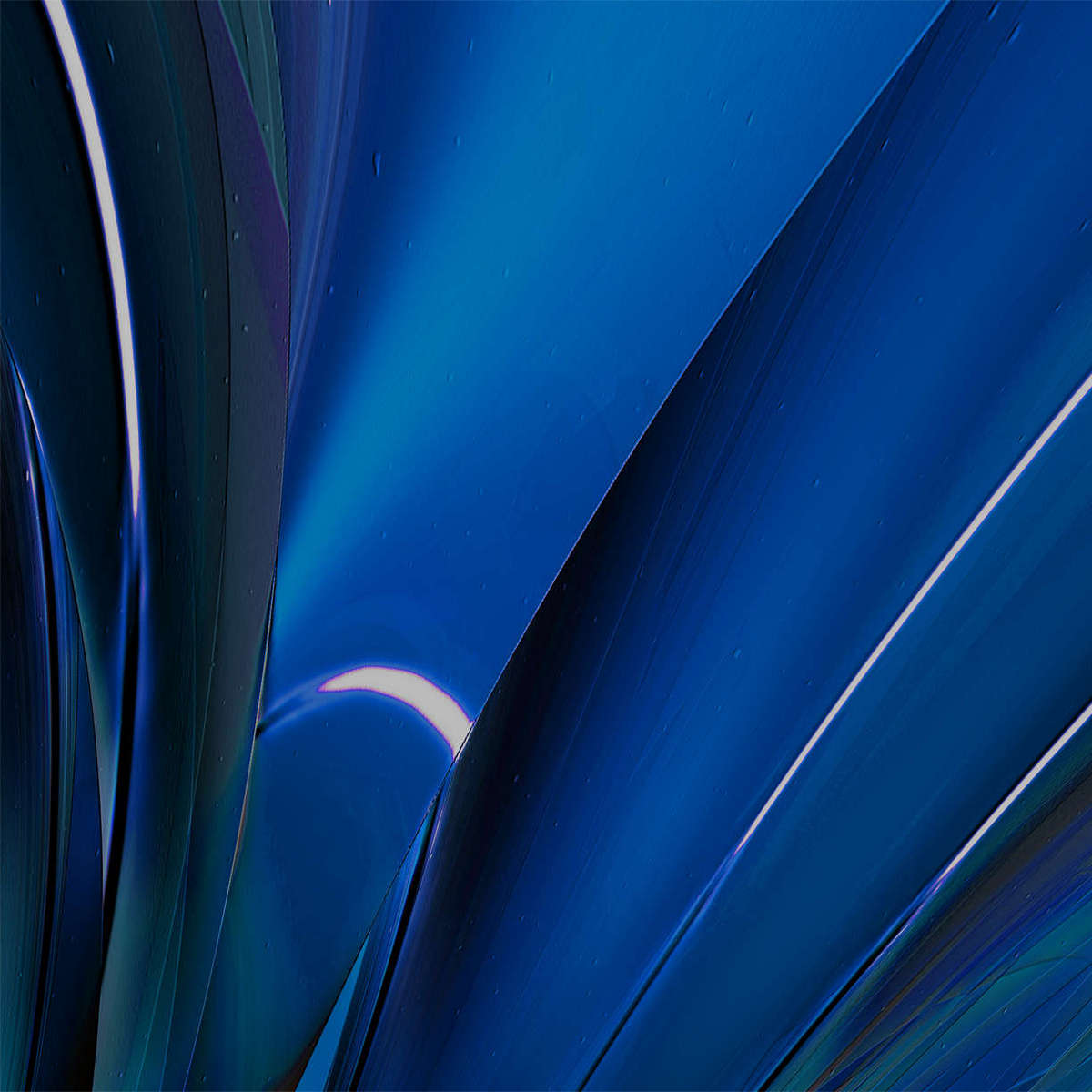 The_Opening_Cu-t.jpg : Section 3 : American artist digital invention archival artifact color print image emerging capture creative convergent transparency universe dream history painter Hybrid exhibition