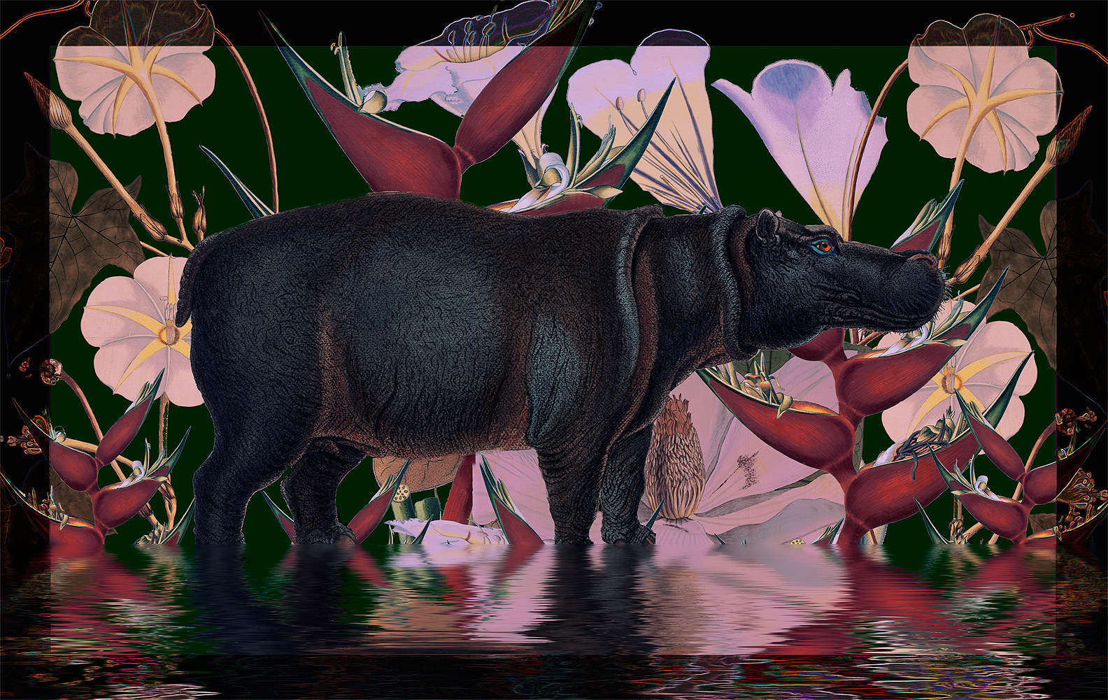 Hippo-72-DPI_fd_neon.jpg : Section 3 : American artist digital invention archival artifact color print image emerging capture creative convergent transparency universe dream history painter Hybrid exhibition