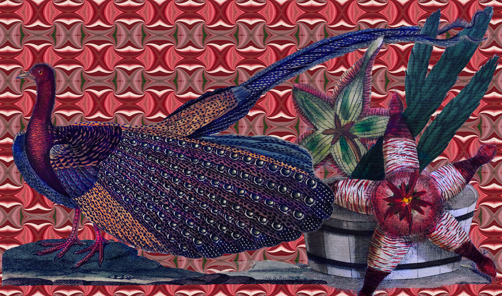 Peacock-Star-Cactus-Mineral.jpg : Section 3 : American artist digital invention archival artifact color print image emerging capture creative convergent transparency universe dream history painter Hybrid exhibition