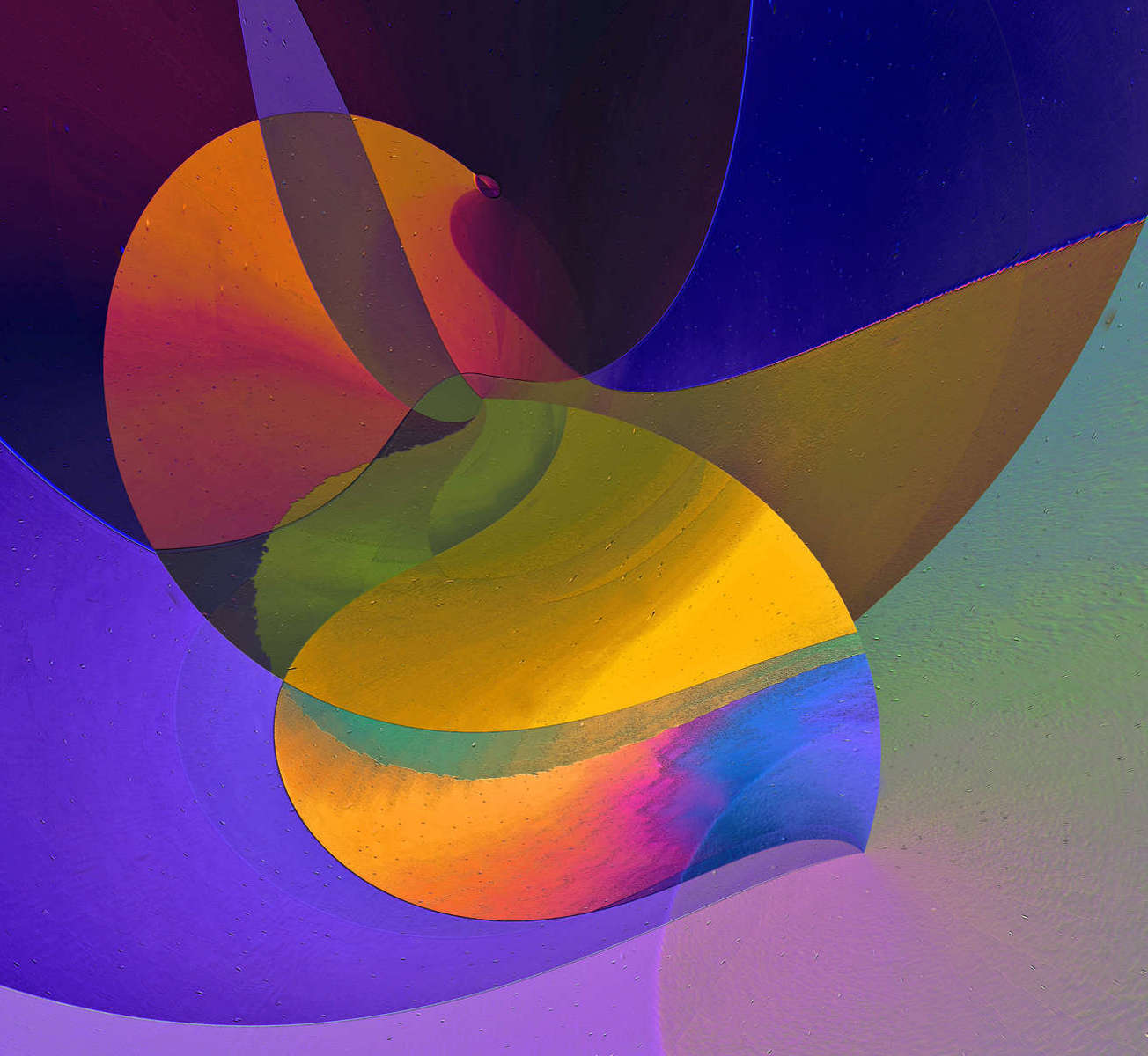 DophinWave.jpg : Section 2 : American artist digital invention archival artifact color print image emerging capture creative convergent transparency universe dream history painter Hybrid exhibition