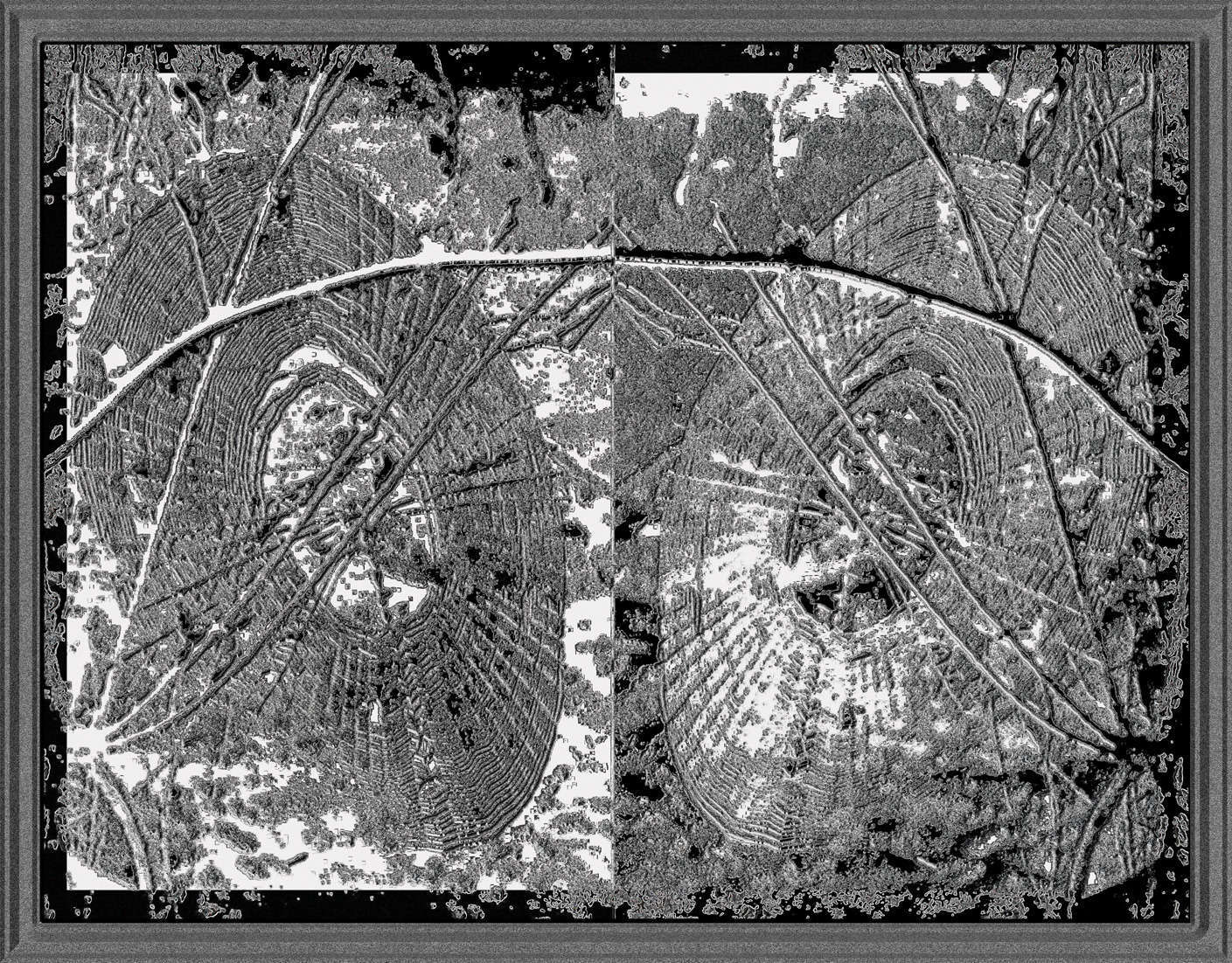 SpiderWebofLindate.jpg : Section 2 : American artist digital invention archival artifact color print image emerging capture creative convergent transparency universe dream history painter Hybrid exhibition
