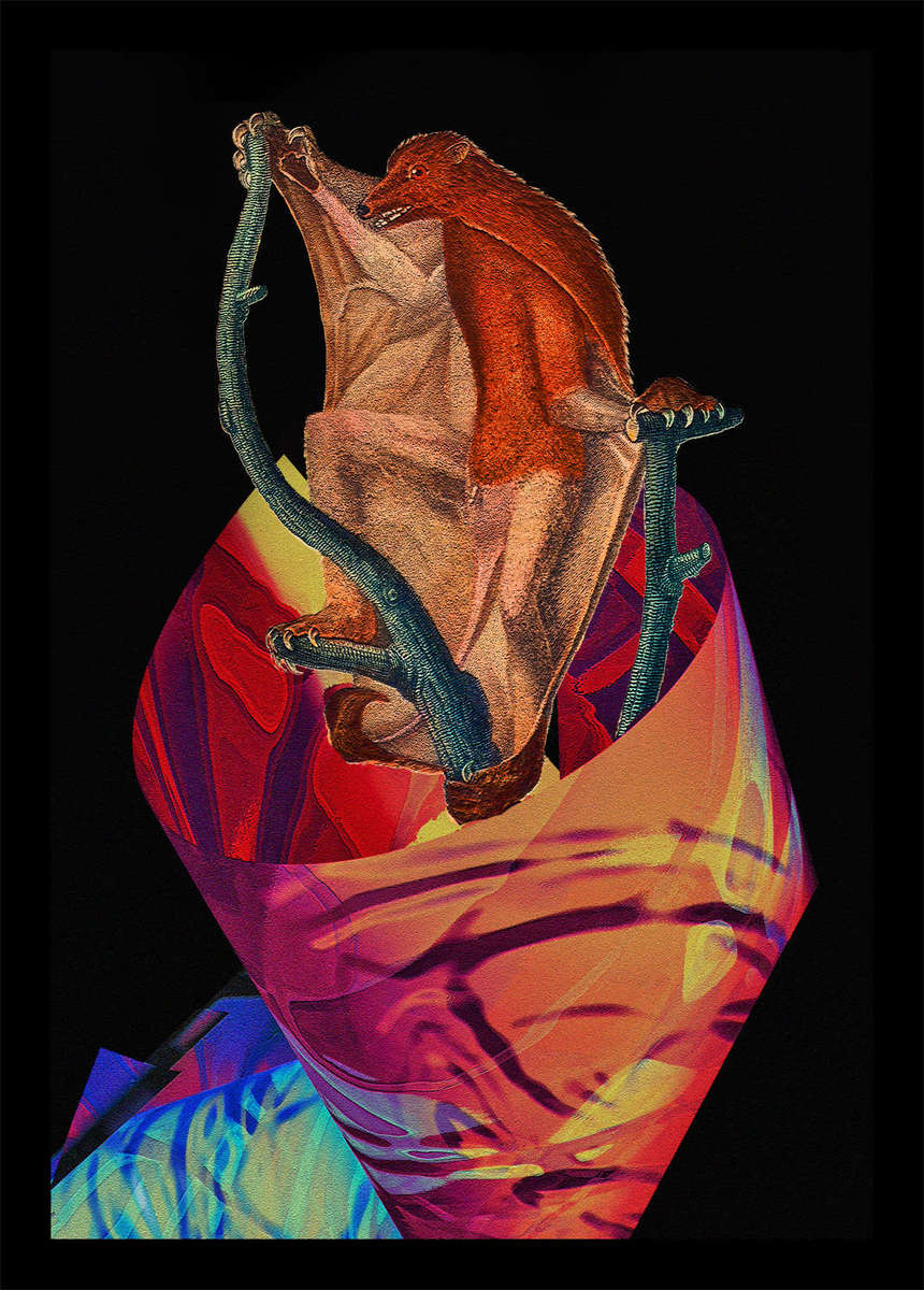 Vanguard-of-Califate-.jpg : Section 2 : American artist digital invention archival artifact color print image emerging capture creative convergent transparency universe dream history painter Hybrid exhibition