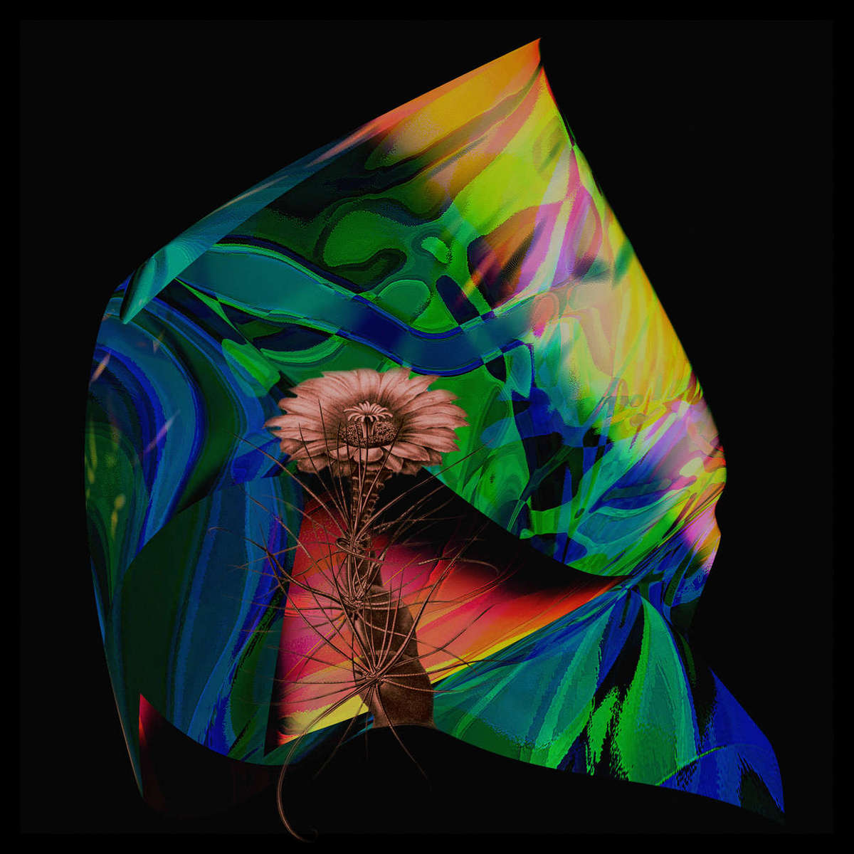 Cacti_of_My_Eye.jpg : Section 2 : American artist digital invention archival artifact color print image emerging capture creative convergent transparency universe dream history painter Hybrid exhibition