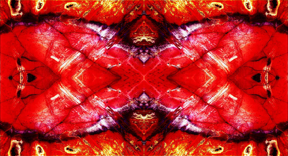 Red Dancer : {POL} Picks of the Litter : American artist digital invention archival artifact color print image emerging capture creative convergent transparency universe dream history painter Hybrid exhibition