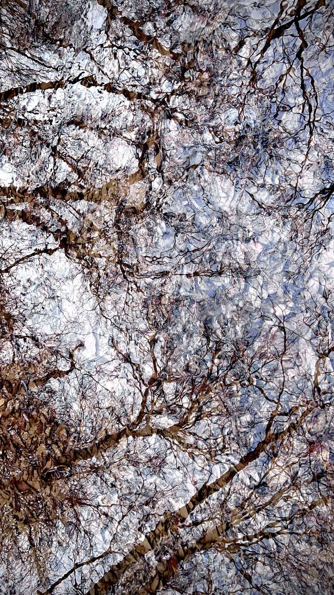  : New Nature : American artist digital invention archival artifact color print image emerging capture creative convergent transparency universe dream history painter Hybrid exhibition