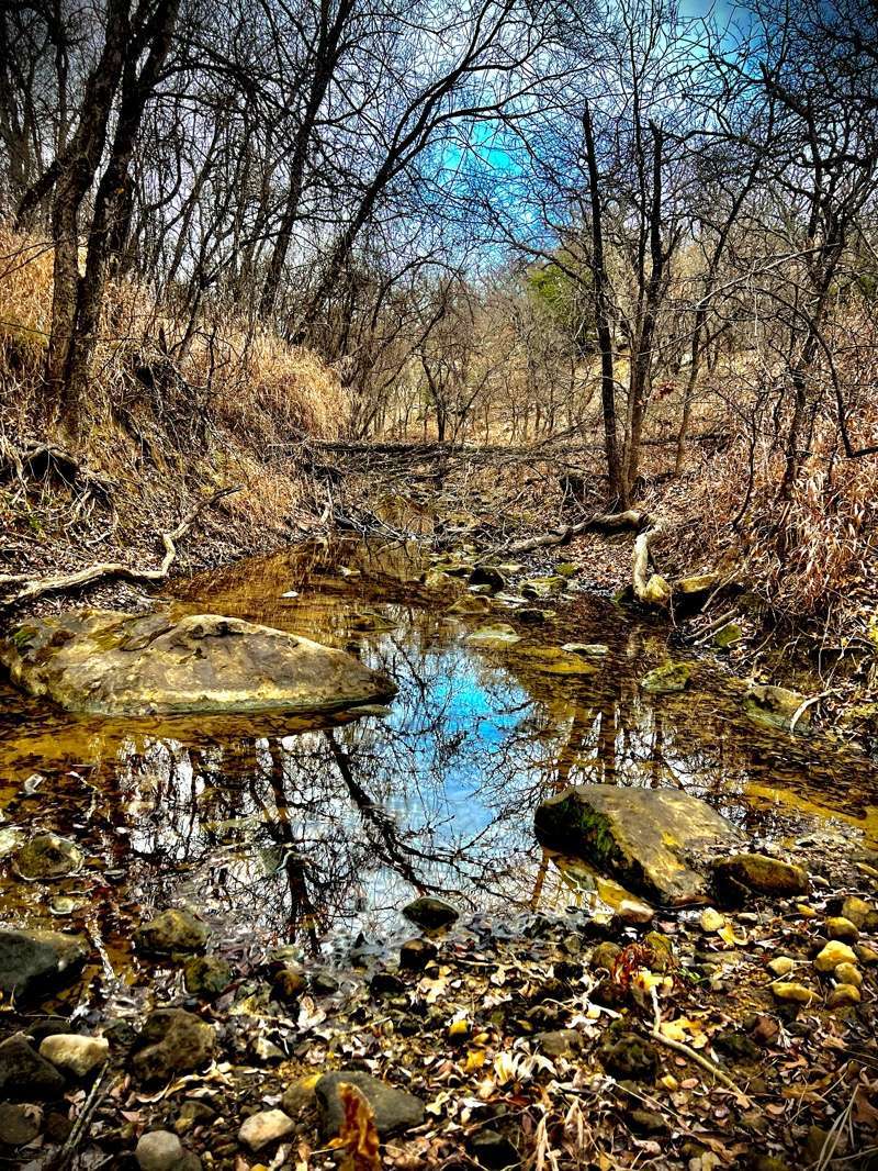  : New Nature : American artist digital invention archival artifact color print image emerging capture creative convergent transparency universe dream history painter Hybrid exhibition