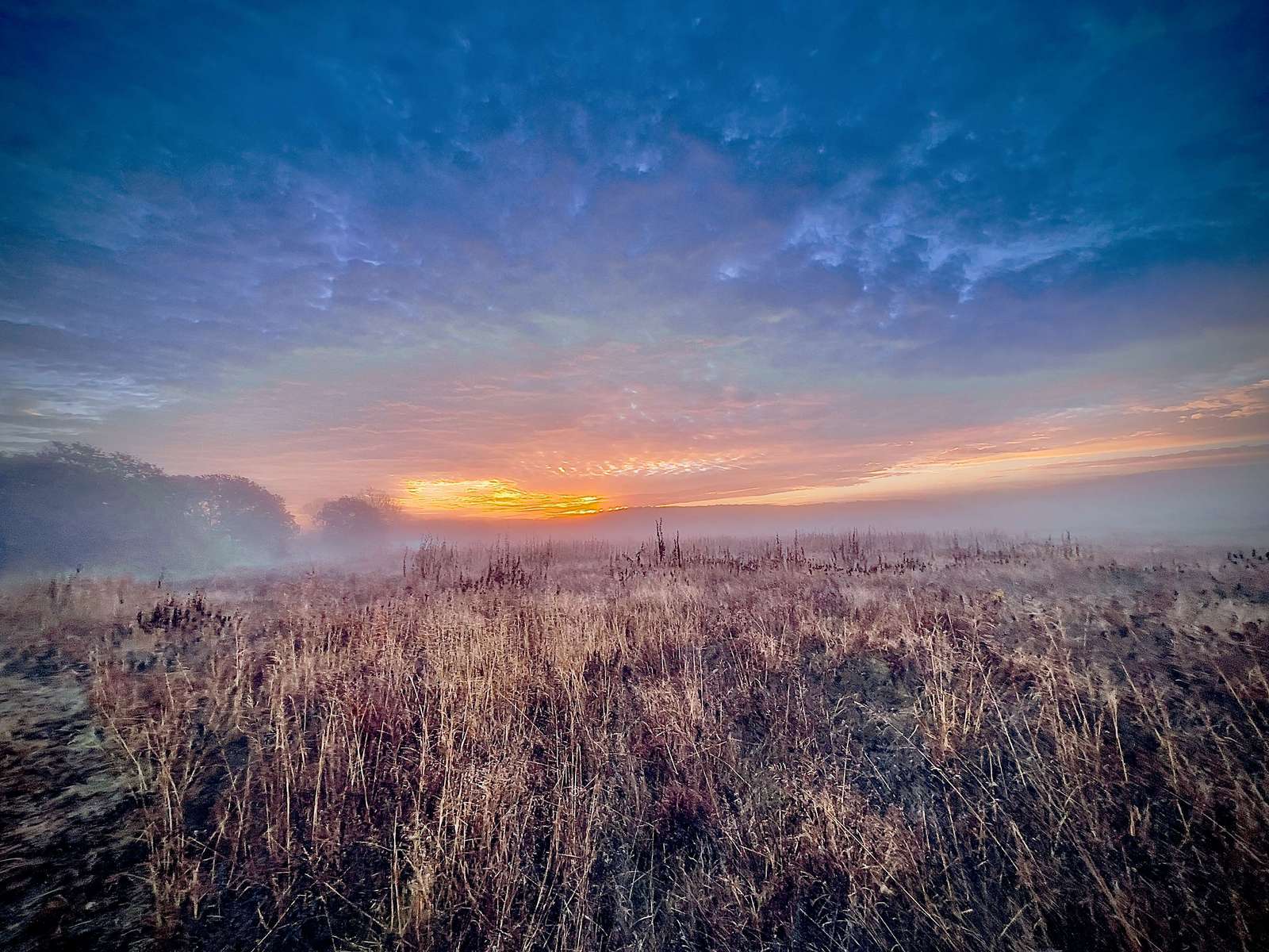  : New Nature : American artist digital invention archival artifact color print image emerging capture creative convergent transparency universe dream history painter Hybrid exhibition