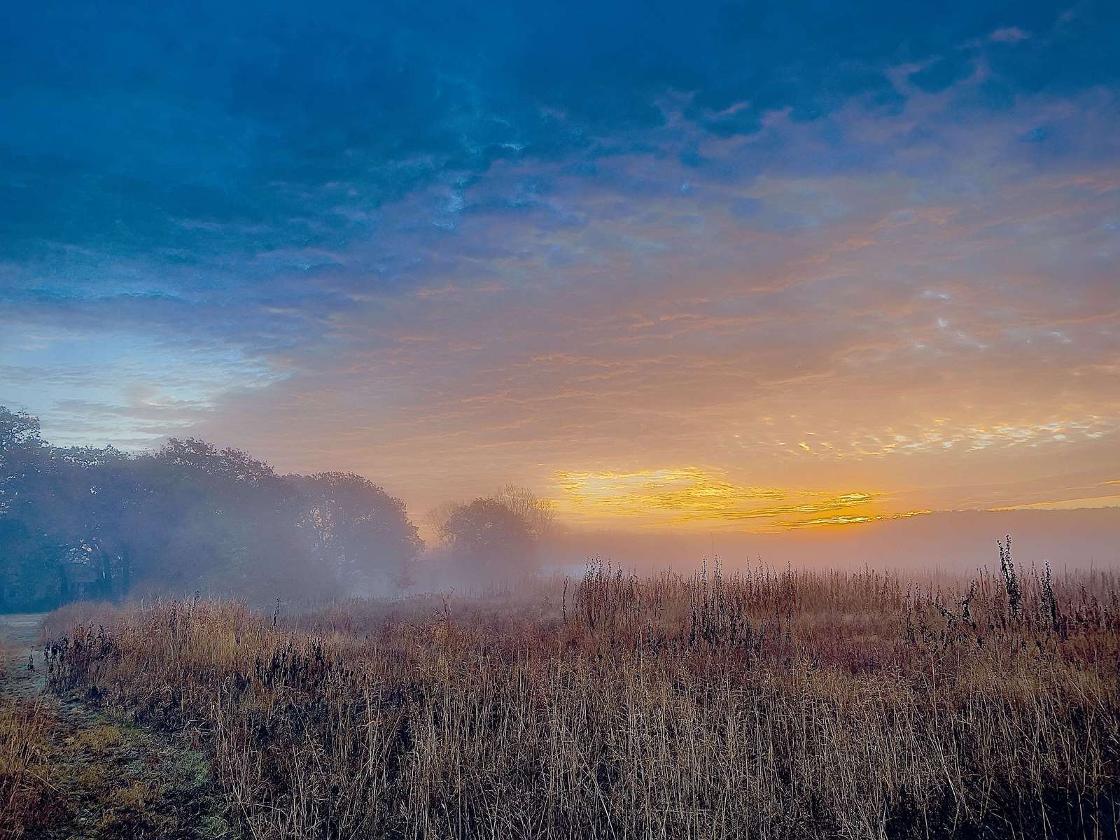  : New Nature : American artist digital invention archival artifact color print image emerging capture creative convergent transparency universe dream history painter Hybrid exhibition