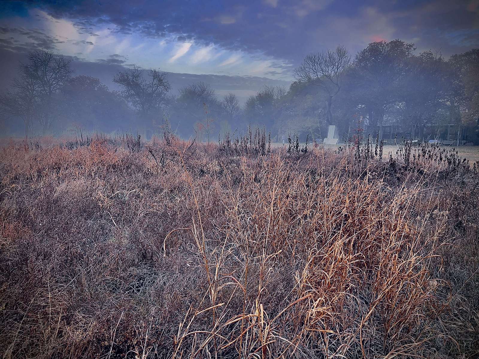  : New Nature : American artist digital invention archival artifact color print image emerging capture creative convergent transparency universe dream history painter Hybrid exhibition