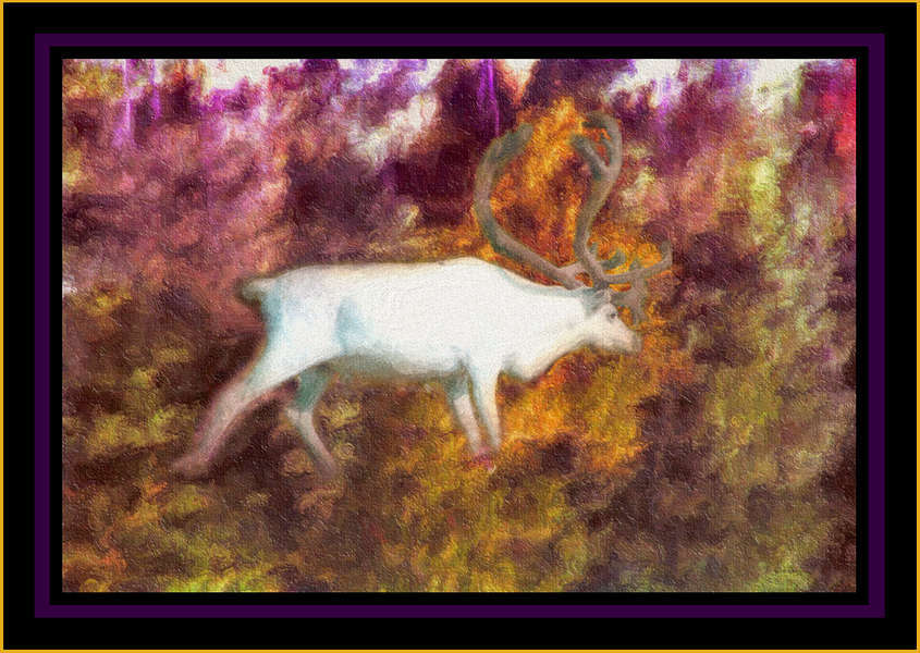 White-Deer.jpg : WildLife Of-Sorts : American artist digital invention archival artifact color print image emerging capture creative convergent transparency universe dream history painter Hybrid exhibition