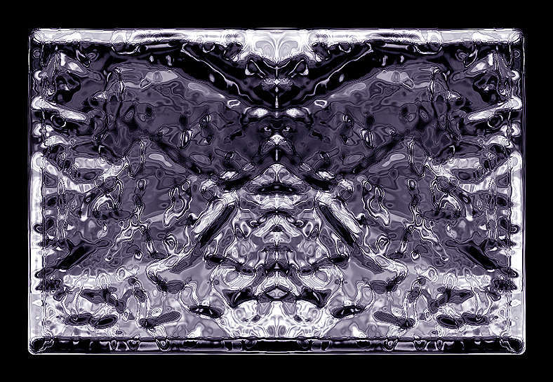 "Raven," I see a bat, a raven, and finally a Bulldog (or sea turtle)... There are aspects about the creative realm we can only appreciate if we do not question why...  : Chrome Series : American artist digital invention archival artifact color print image emerging capture creative convergent transparency universe dream history painter Hybrid exhibition