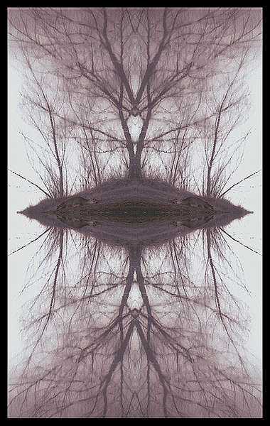 4deerIS1.jpg : WildLife Of-Sorts : American artist digital invention archival artifact color print image emerging capture creative convergent transparency universe dream history painter Hybrid exhibition