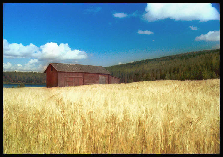 "Red Barn, Oat Field - Sweden" : Real World : American artist digital invention archival artifact color print image emerging capture creative convergent transparency universe dream history painter Hybrid exhibition