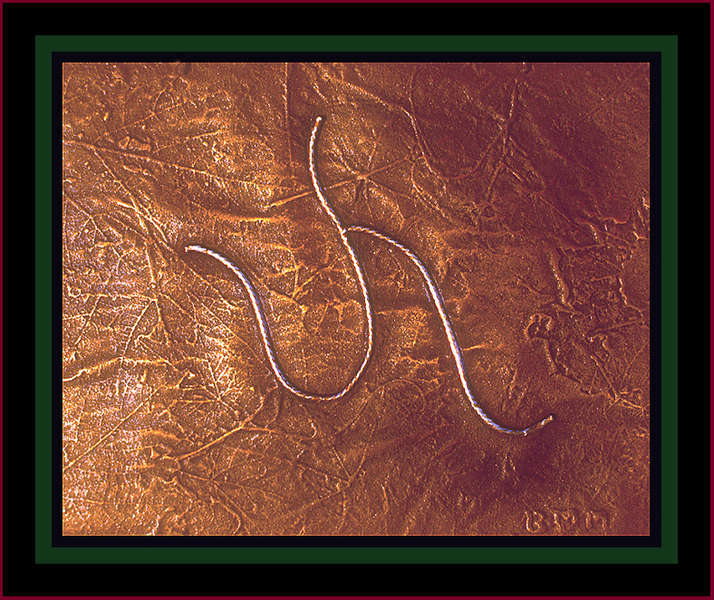 "Runner" - Bronze : Sculpture Stuff : American artist digital invention archival artifact color print image emerging capture creative convergent transparency universe dream history painter Hybrid exhibition