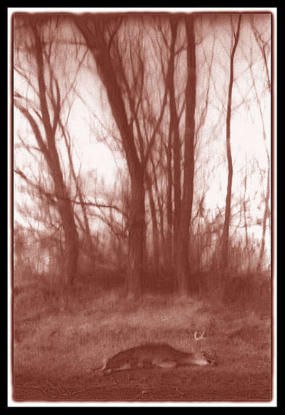 "Brazened" (*) Seemy "Series Theories" Section for the story to this image... BMM : Real World : American artist digital invention archival artifact color print image emerging capture creative convergent transparency universe dream history painter Hybrid exhibition