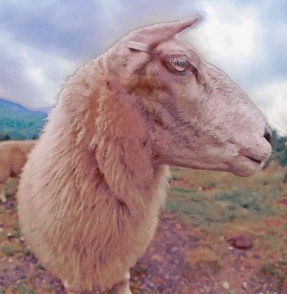 Goat_Poise.png : WildLife Of-Sorts : American artist digital invention archival artifact color print image emerging capture creative convergent transparency universe dream history painter Hybrid exhibition