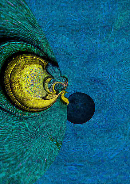 "G-Spot" © Brad Michael Moore 1987-2009

-- 

I have lately been considering some of the world's greatest mysteries - things I heard of, (heard talked about) but never seen by me - though I have a notion - having been in the ocean. At least, now, I know what to look for - in the abstract of my imagination! - bmm