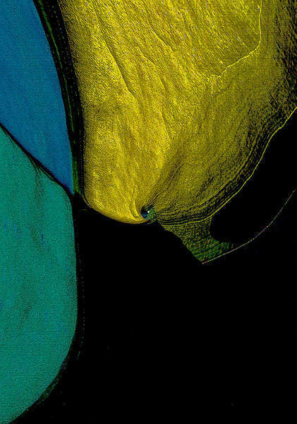 "Sexual Development, Gathering Form" © Brad Michael Moore 1987-2009

-- 

I go through it - in my mind from time to time... Such forces at work - true ripples in the fabric of eras I imagine... bmm
 : Digital Artifacts 4 : American artist digital invention archival artifact color print image emerging capture creative convergent transparency universe dream history painter Hybrid exhibition