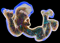 American artist digital invention archival artifact color print image emerging capture creative convergent transparency universe dream history painter Hybrid exhibition