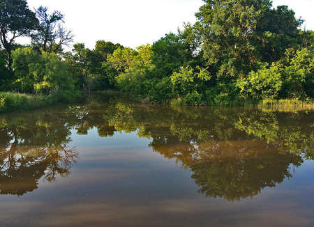 IMG_5th-Pond.jpg
